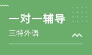 2024南阳赤虎街道那里有可以培训初中语文一对一 南阳赤虎街道市宛城区赤虎街道初中语文一对一培训