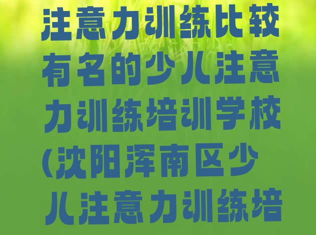 十大沈阳浑南区少儿注意力训练比较有名的少儿注意力训练培训学校(沈阳浑南区少儿注意力训练培训需要多久)排行榜