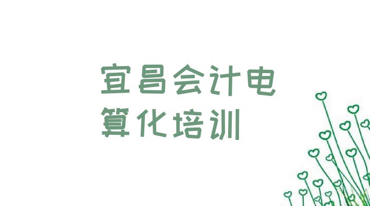 十大2024年全国会计电算化机构十强排名(宜昌伍家岗区会计电算化哪个学校培训)排行榜