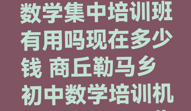 十大商丘睢阳区初中数学集中培训班有用吗现在多少钱 商丘勒马乡初中数学培训机构哪个比较可靠排行榜