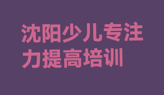 十大沈阳浑南区少儿专注力提高培训班费用排行榜