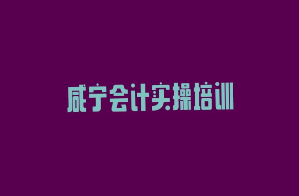 十大2024年咸宁咸安区哪里的会计实操培训班好排行榜