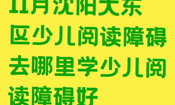 十大11月沈阳大东区少儿阅读障碍去哪里学少儿阅读障碍好排行榜