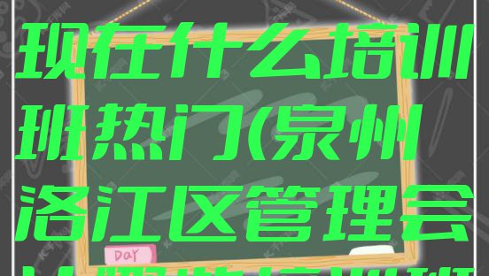 十大11月泉州洛江区管理会计现在什么培训班热门(泉州洛江区管理会计哪些培训班)排行榜