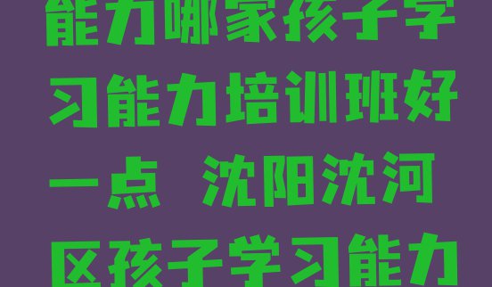 十大2024年沈阳沈河区孩子学习能力哪家孩子学习能力培训班好一点 沈阳沈河区孩子学习能力对孩子学习能力培训班的好评排行榜