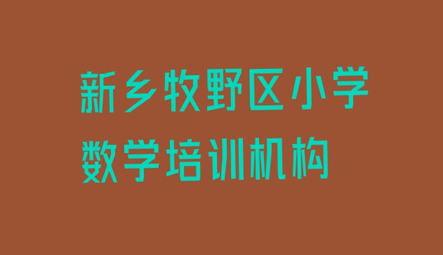 十大新乡牧野区十大小学数学网课培训平台排名排行榜