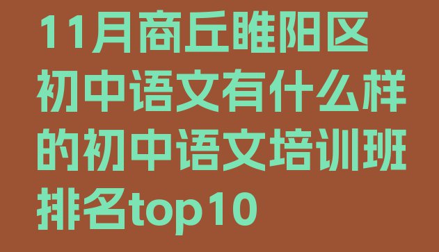 十大11月商丘睢阳区初中语文有什么样的初中语文培训班排名top10排行榜