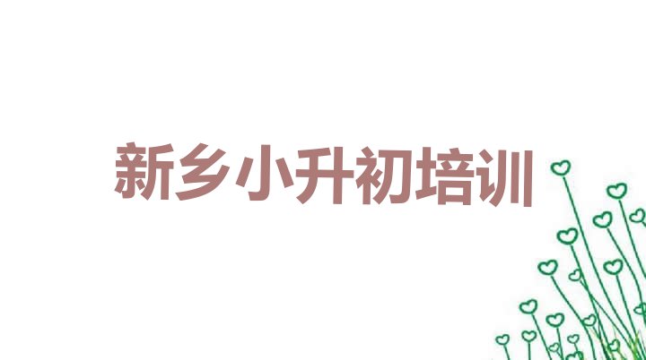 十大2024年新乡红旗区小升初培训推荐哪家好(新乡小升初培训机构排名前十)排行榜