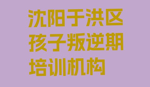 十大沈阳于洪区孩子叛逆期去哪里学孩子叛逆期比较专业正规排行榜