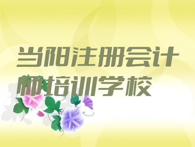 十大当阳专业注册会计师培训学校哪家好(当阳学注册会计师大概需要多久)排行榜