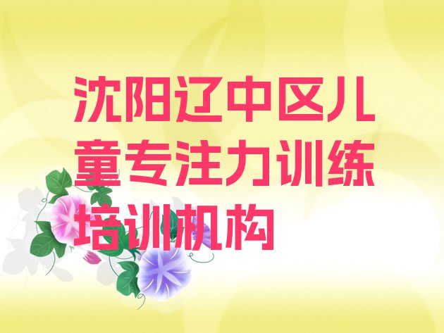 十大2024年排名前十的沈阳儿童专注力训练培训学校(沈阳儿童专注力训练培训班十强)排行榜