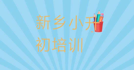 2024年新乡牧野区小升初教育培训哪个口碑好(新乡牧野区小升初应该到哪里去学)”