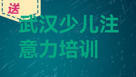 2024年武汉汉阳区儿童专注力训练专业培训学校哪个好一点呢排名一览表”