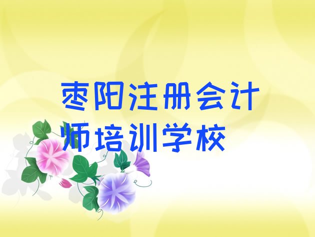 枣阳注册会计师班培训班哪家好(枣阳短期注册会计师班)”