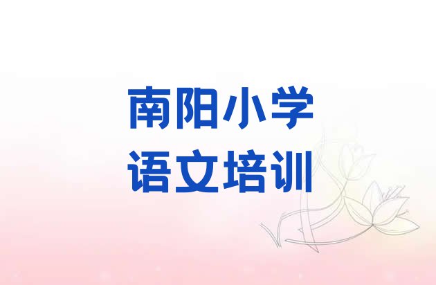 南阳卧龙区小学语文一场培训多少钱”