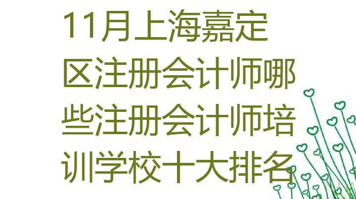 11月上海嘉定区注册会计师哪些注册会计师培训学校十大排名”