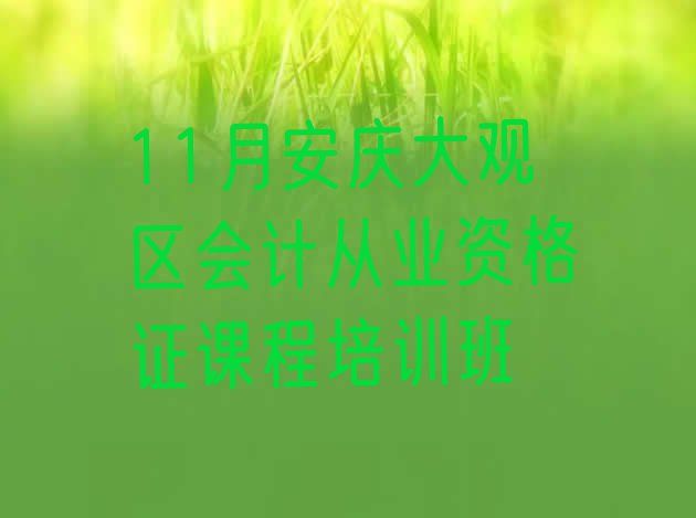 十大11月安庆大观区会计从业资格证课程培训班排行榜