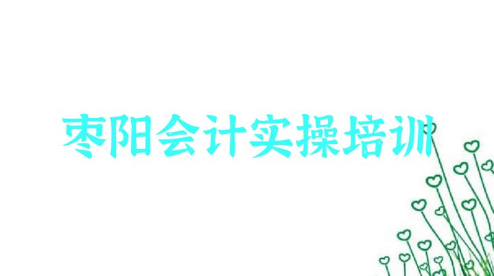 11月枣阳会计实操培训学校一般多少钱一排名”