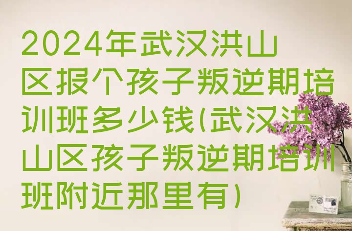 2024年武汉洪山区报个孩子叛逆期培训班多少钱(武汉洪山区孩子叛逆期培训班附近那里有)”