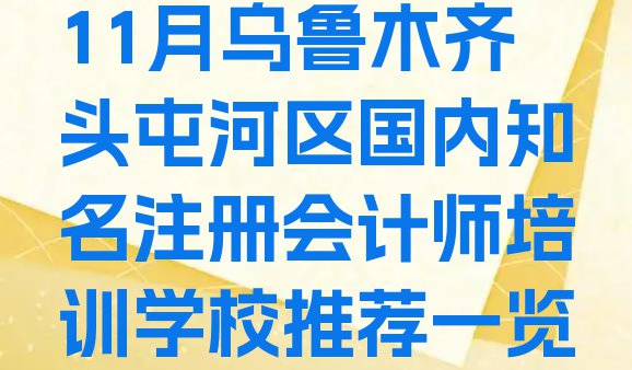 11月乌鲁木齐头屯河区国内知名注册会计师培训学校推荐一览”