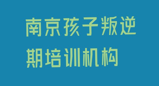 十大南京孩子叛逆期培训哪里好一点排行榜