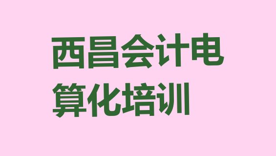 十大西昌排名前十的会计电算化培训班(西昌会计电算化网课哪个机构比较好)排行榜