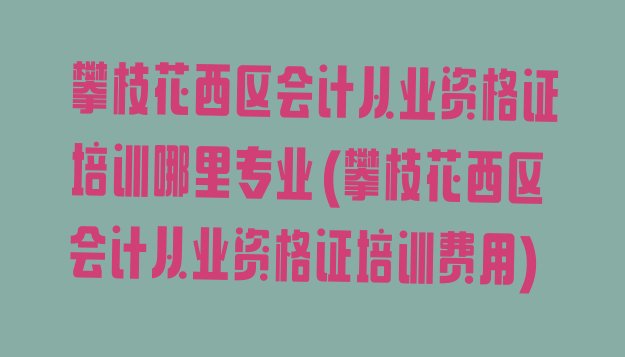 攀枝花西区会计从业资格证培训哪里专业(攀枝花西区会计从业资格证培训费用)