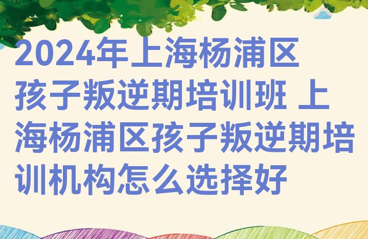 十大2024年上海杨浦区孩子叛逆期培训班 上海杨浦区孩子叛逆期培训机构怎么选择好排行榜