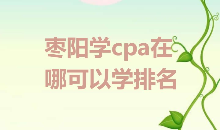 十大枣阳学cpa在哪可以学排名排行榜