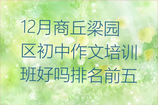 12月商丘梁园区初中作文培训班好吗排名前五