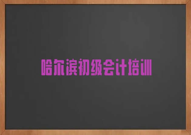 十大哈尔滨道里区附近的初级会计培训学校 哈尔滨道里区初级会计哪里学比较好排行榜