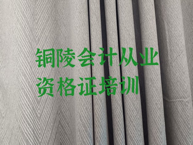 十大铜陵铜官区学会计从业资格证最好的学校排名(铜陵铜官区会计从业资格证培训机构的口碑)排行榜