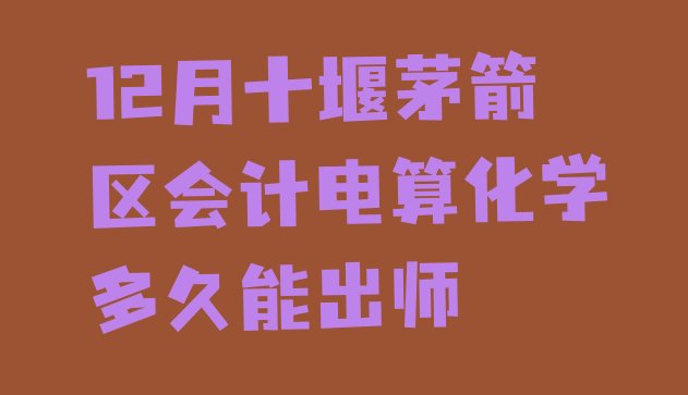 十大12月十堰茅箭区会计电算化学多久能出师排行榜