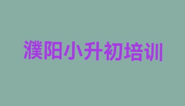 十大2024年濮阳小升初网校排名前十(濮阳华龙区什么学校学小升初比较好)排行榜