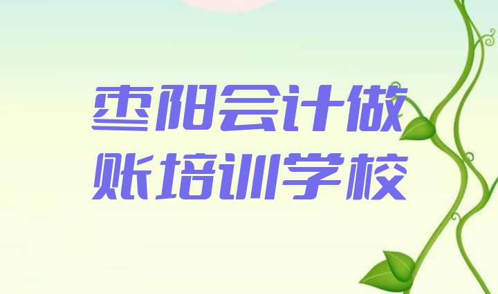 十大2024年枣阳会计做账培训机构十大排名，值得关注排行榜