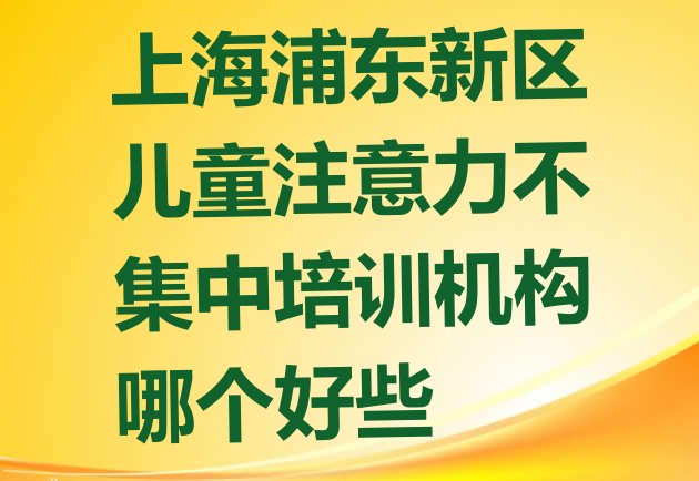 十大上海浦东新区儿童注意力不集中培训机构哪个好些排行榜