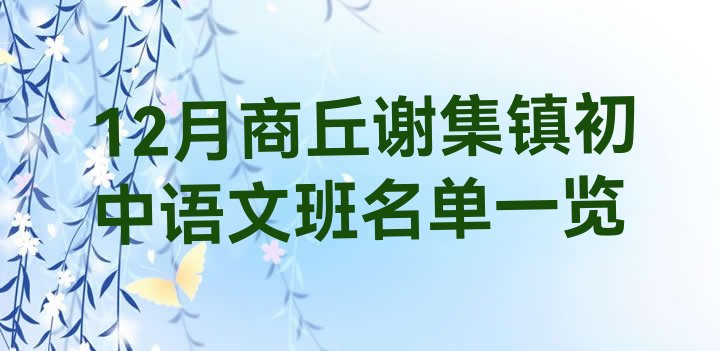 十大12月商丘谢集镇初中语文班名单一览排行榜