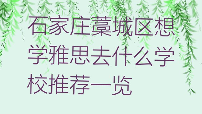 十大石家庄藁城区想学雅思去什么学校推荐一览排行榜