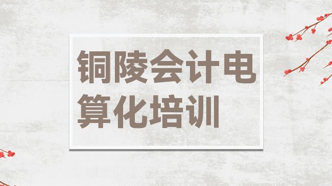 2025年铜陵义安区会计电算化啥时候培训推荐一览