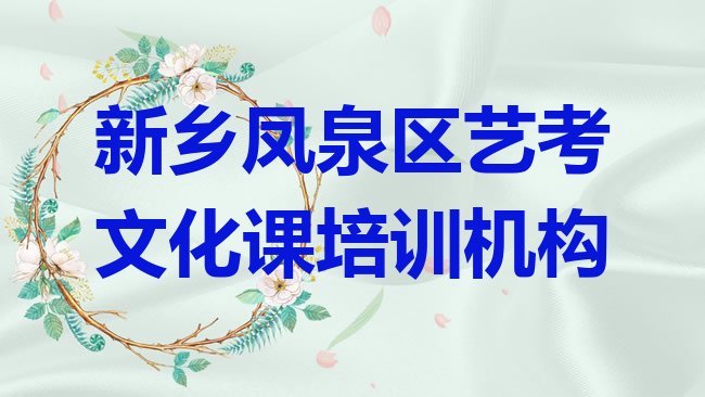 十大2025年新乡凤泉区艺考文化课哪里找培训班，倾心推荐排行榜