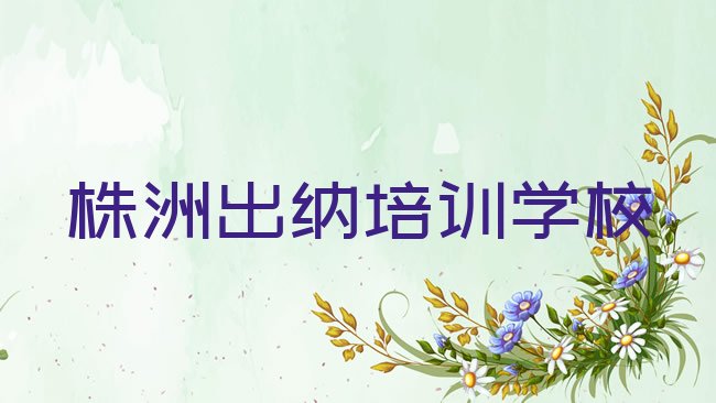 十大株洲芦淞区学出纳在什么地方学好排行榜