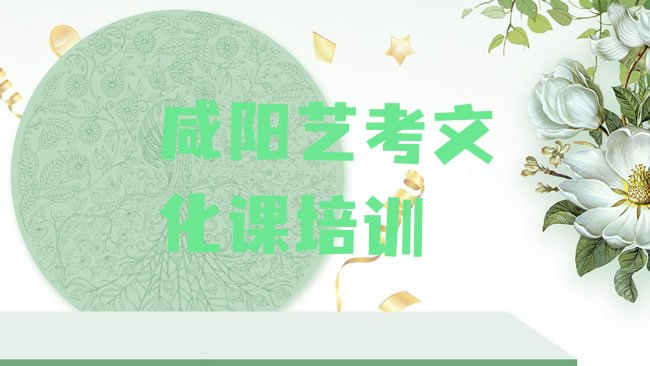 十大咸阳秦都区网上艺考文化课课程名单一览排行榜