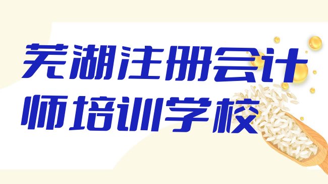 十大2025年芜湖鸠江区注册会计师好的注册会计师培训课，快来看看排行榜