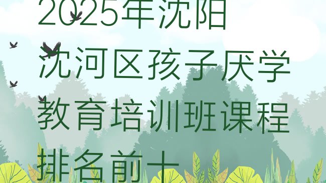 十大2025年沈阳沈河区孩子厌学教育培训班课程排名前十排行榜