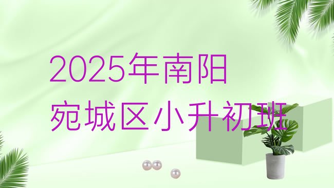 十大2025年南阳宛城区小升初班排行榜