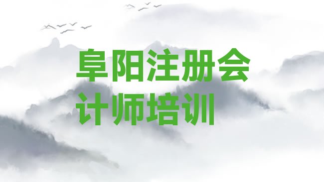 十大阜阳颍州区学注册会计师速成班排行榜