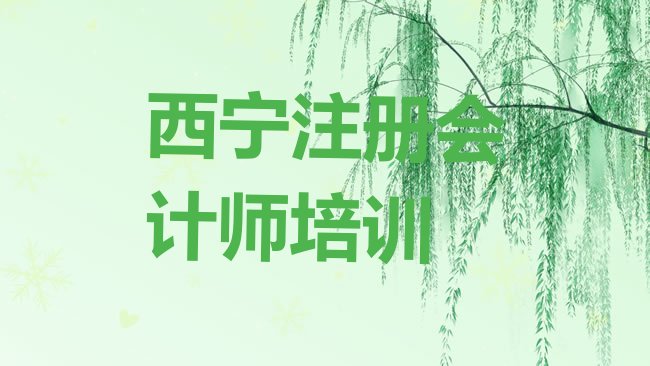 十大西宁哪里有注册会计师培训的实力排名名单排行榜