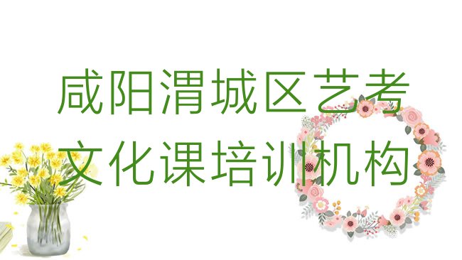 十大2025年咸阳渭城区艺考文化课咸阳渭城区这个辅导机构怎么样名单更新汇总，倾心推荐排行榜