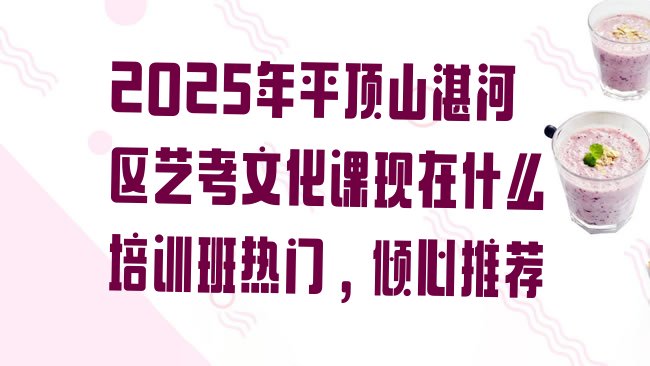 十大2025年平顶山湛河区艺考文化课现在什么培训班热门，倾心推荐排行榜