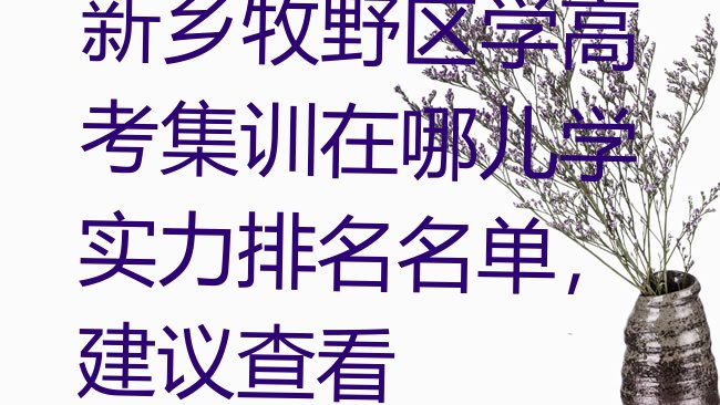 十大新乡牧野区学高考集训在哪儿学实力排名名单，建议查看排行榜